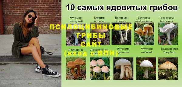 mix Гусиноозёрск