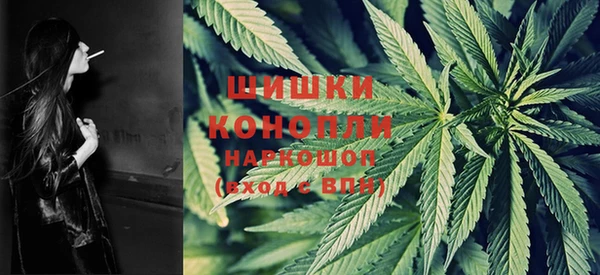 mix Гусиноозёрск