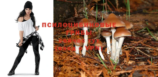 mix Гусиноозёрск