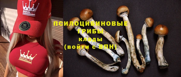 кокаин перу Гусев
