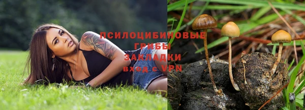 кокаин перу Гусев