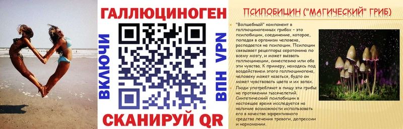 Псилоцибиновые грибы Psilocybe  гидра как войти  Новохопёрск  где можно купить наркотик 